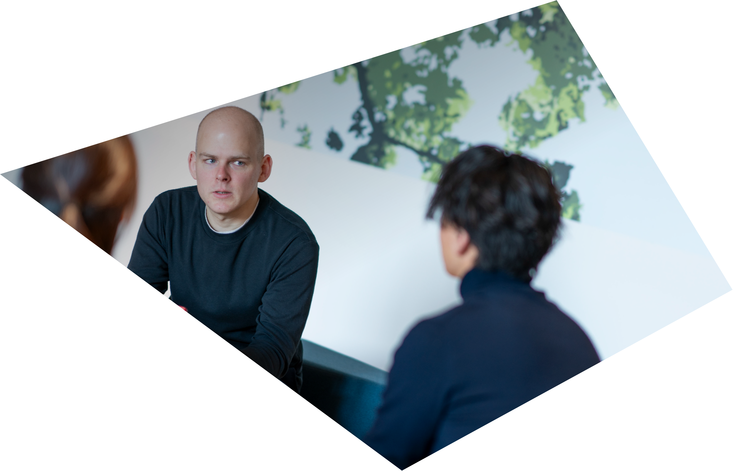 ヴェーフス マーク