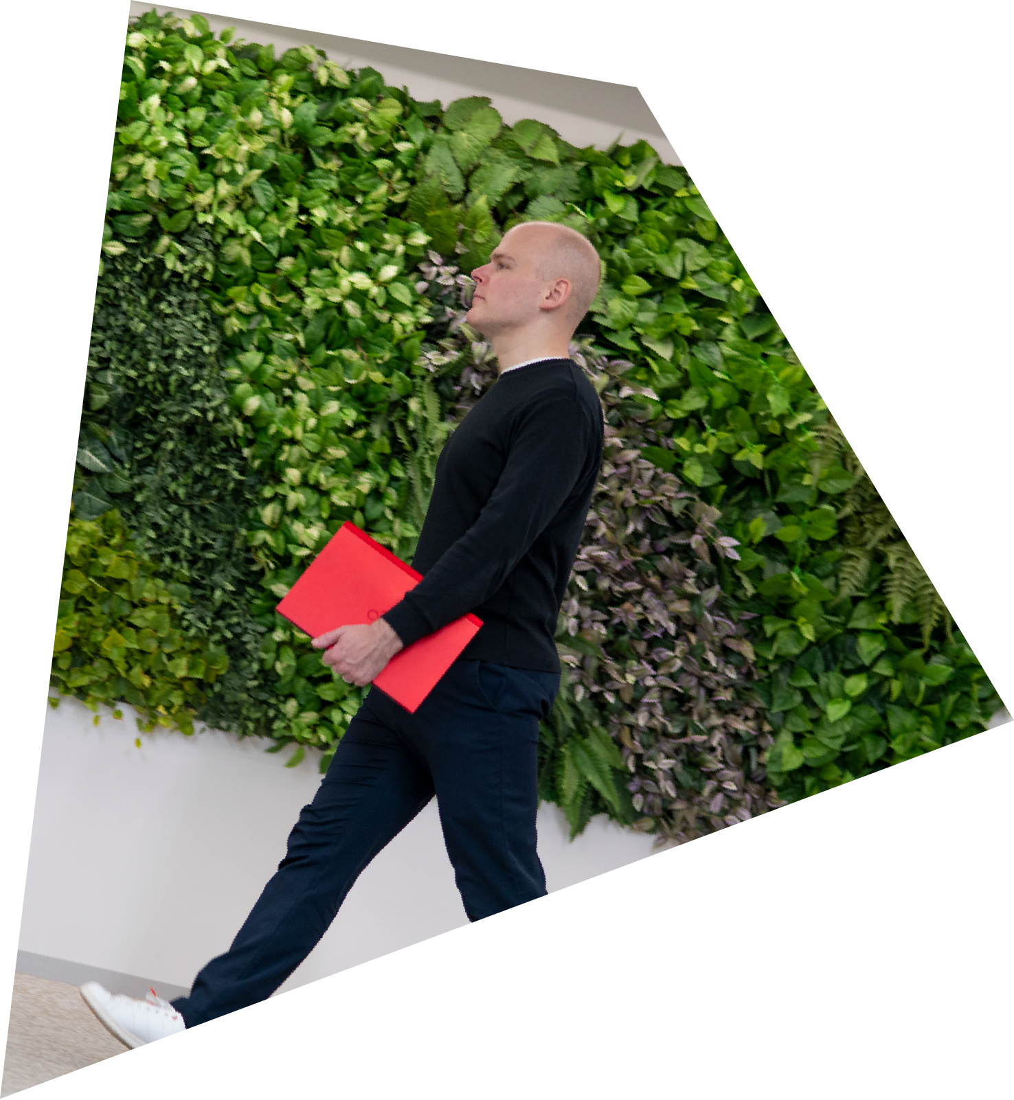 ヴェーフス マーク